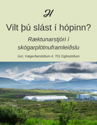 Jurt - Ræktunarstjóri í trjáplöntuframleiðslu