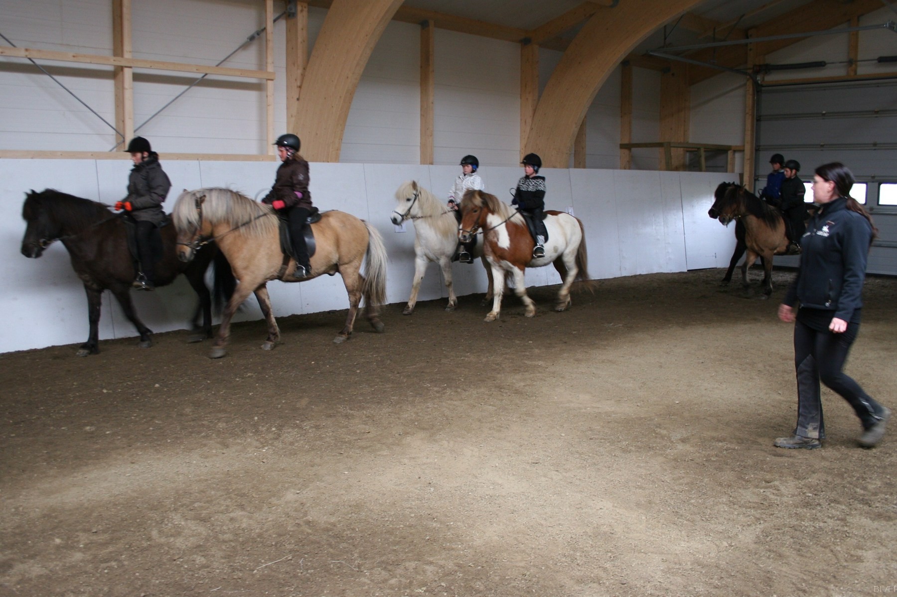 blaer aeskulydsdagar 2012