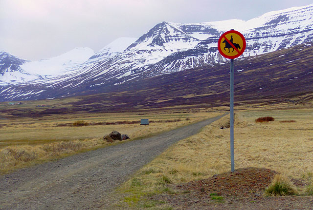 utreidar_banndar1_web.jpg utreidar_banndar1_web.jpg