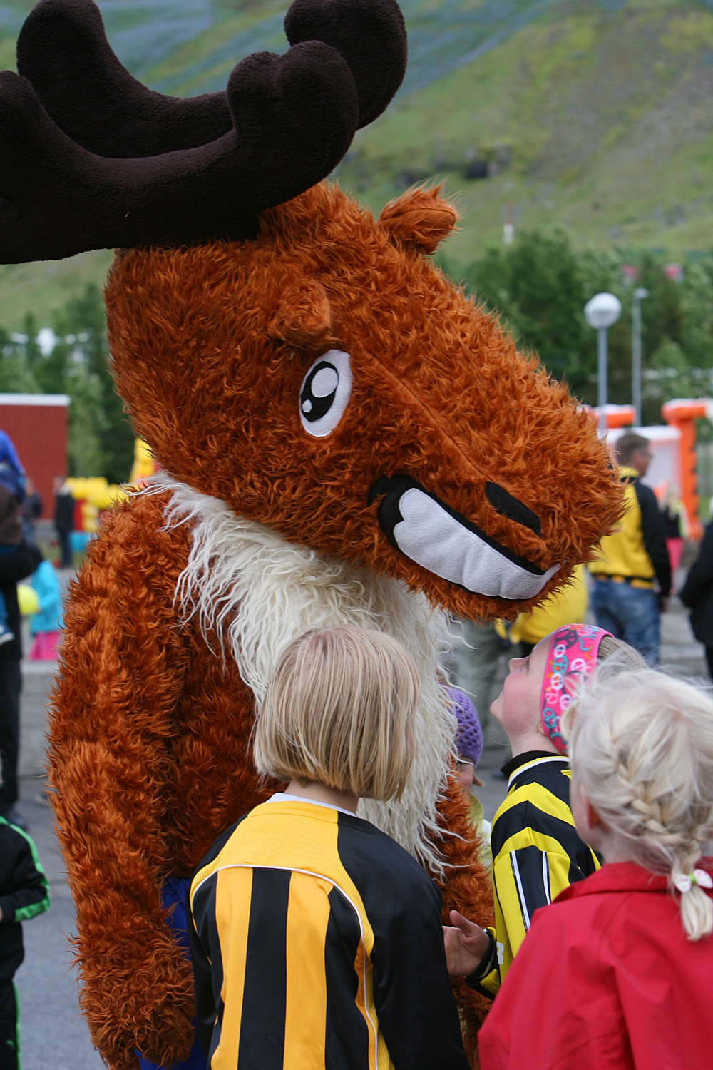 huginn 100ara 0081 web