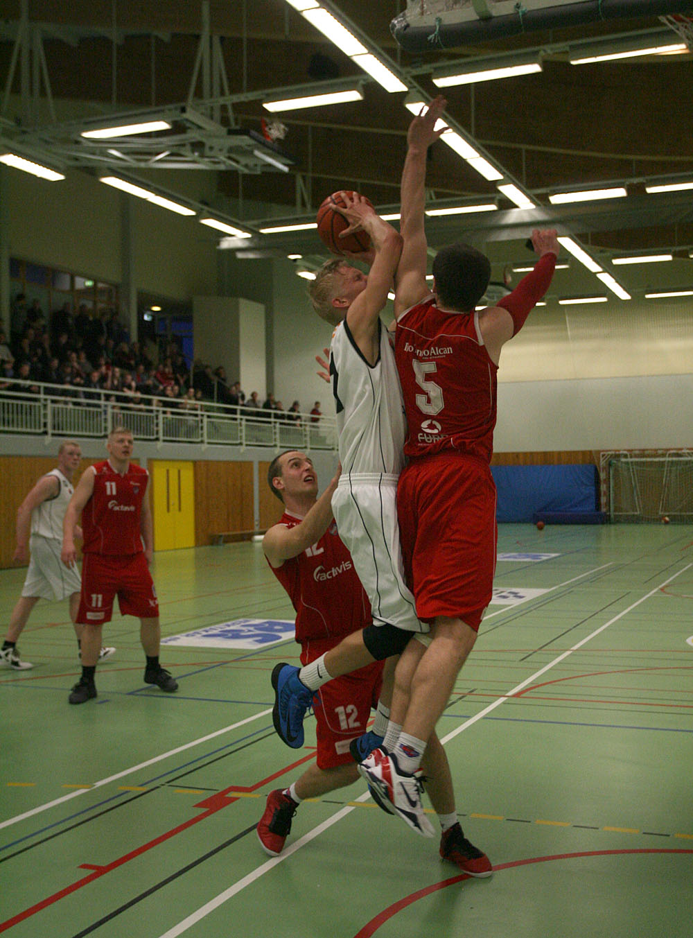 hottur_haukar_22032013_0065_web.jpg hottur_haukar_22032013.jpg