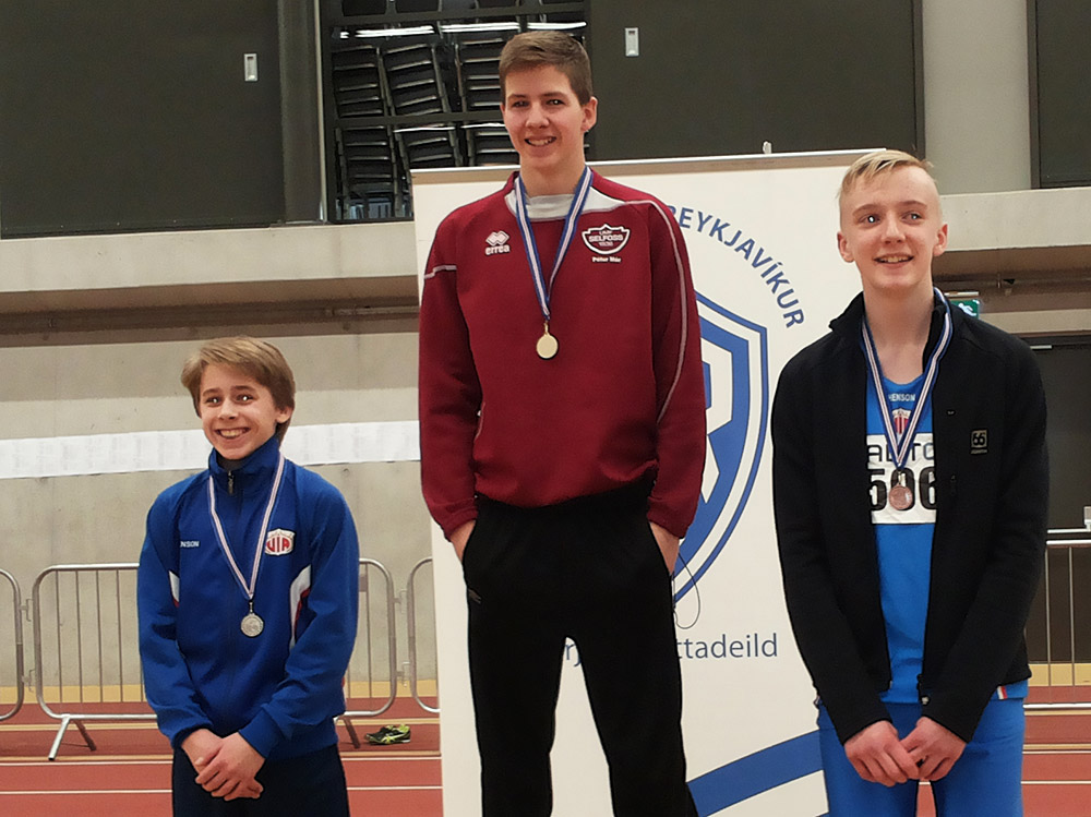 dadi steingrimur mi1114 lovisa