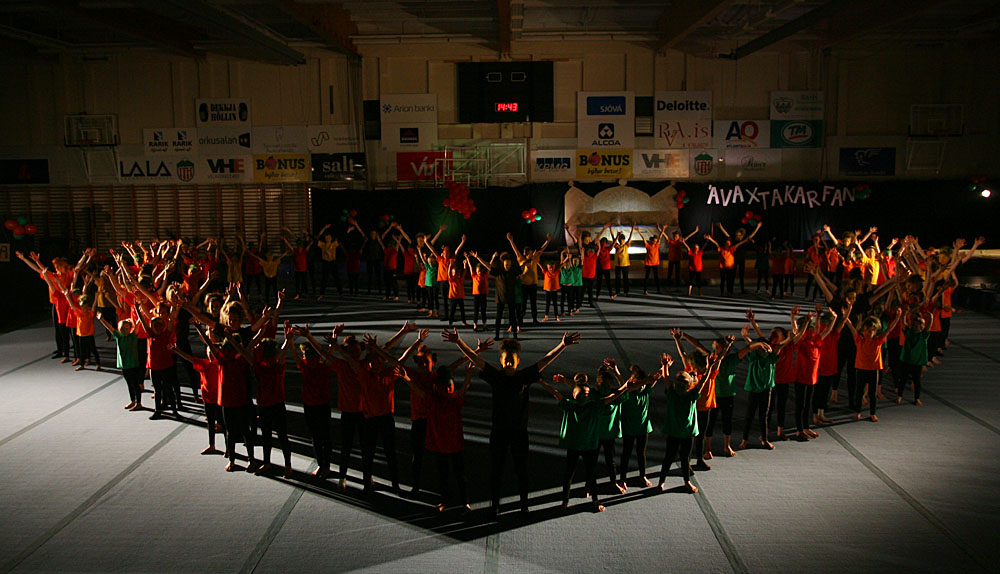 fimleikar avaxtakarfan 0069 web