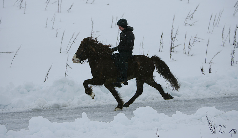 istolt 2014 0002 web