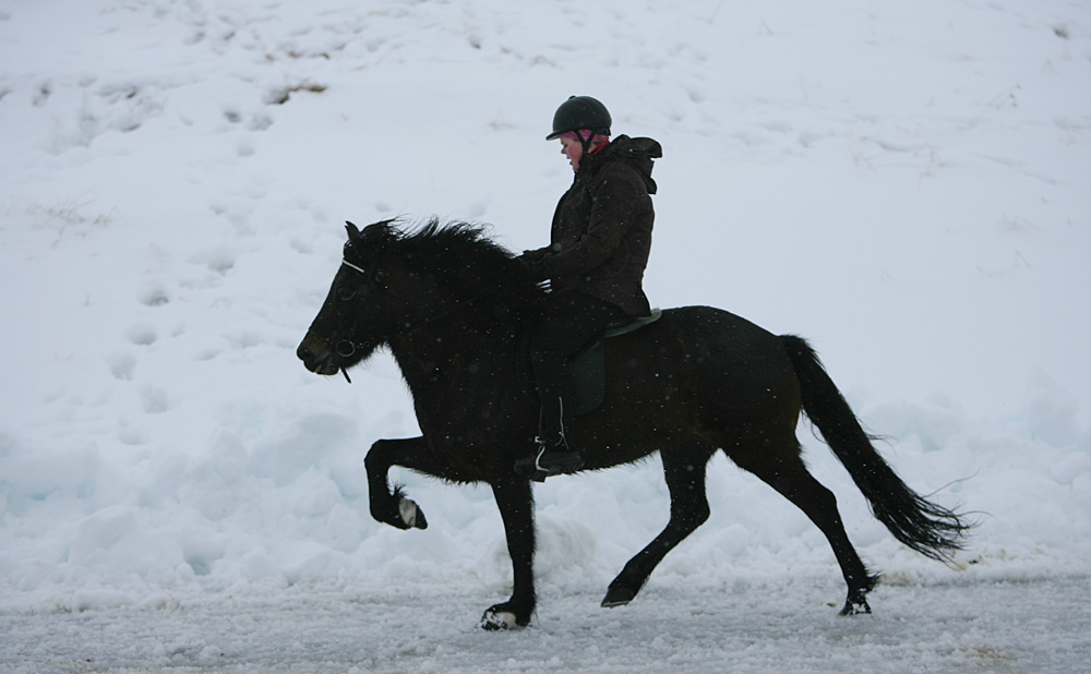 istolt 2014 0027 web