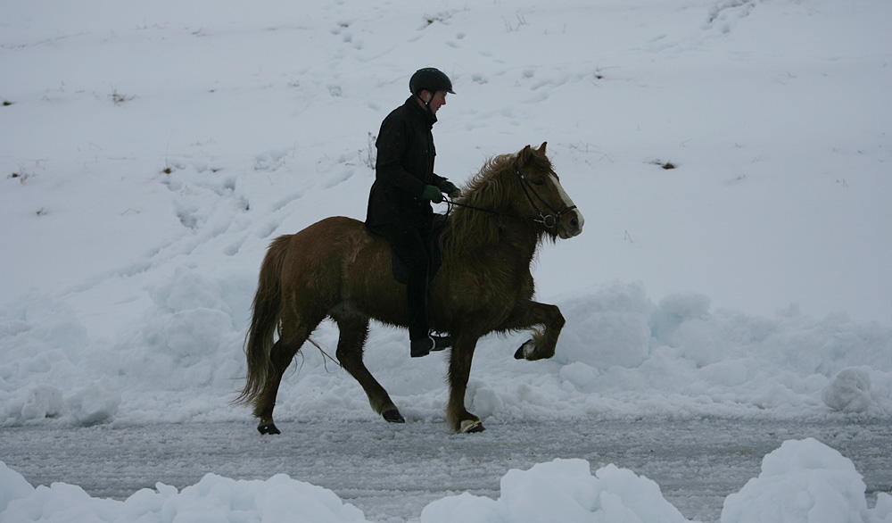 istolt 2014 0053 web