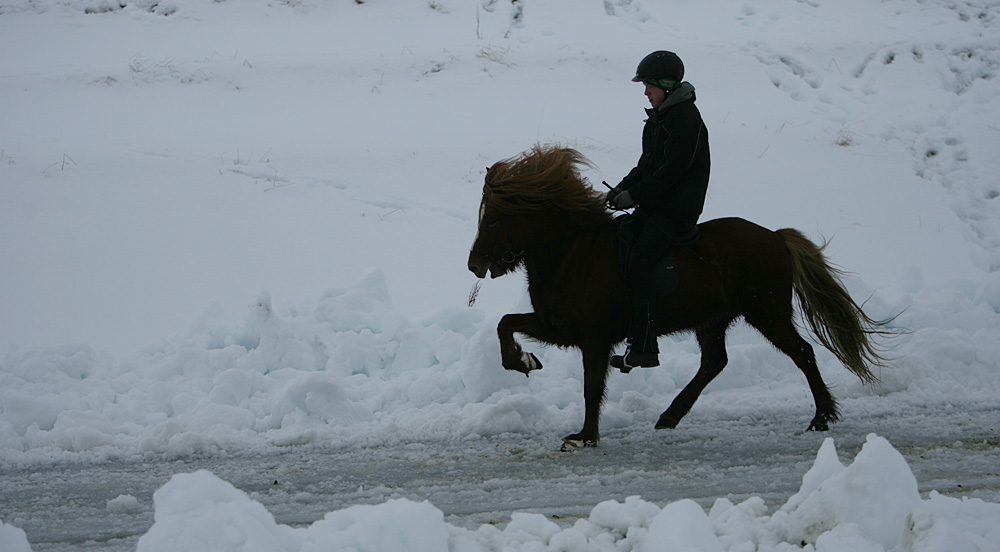 istolt 2014 0071 web