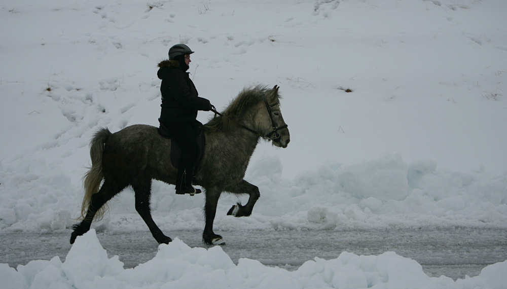 istolt 2014 0091 web