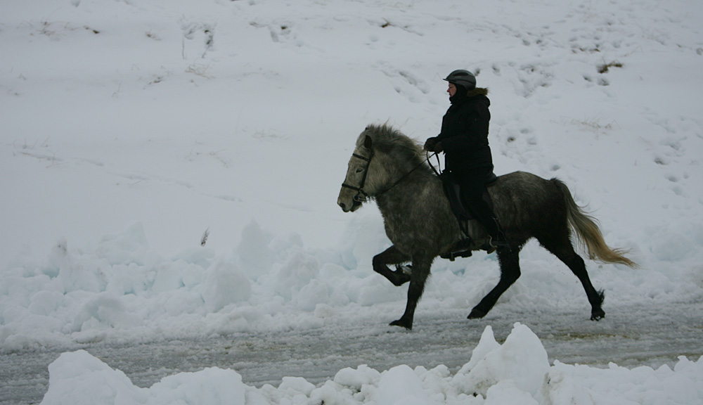 istolt 2014 0108 web