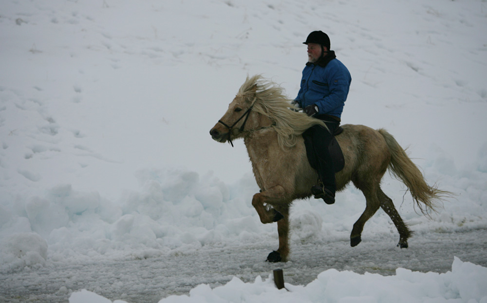 istolt 2014 0120 web