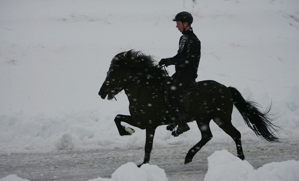 istolt 2014 0180 web