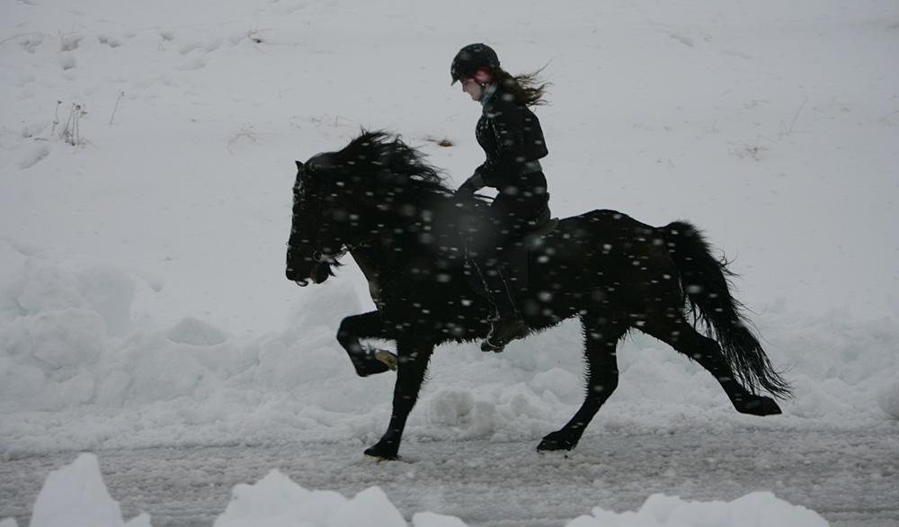 istolt 2014 0186 web