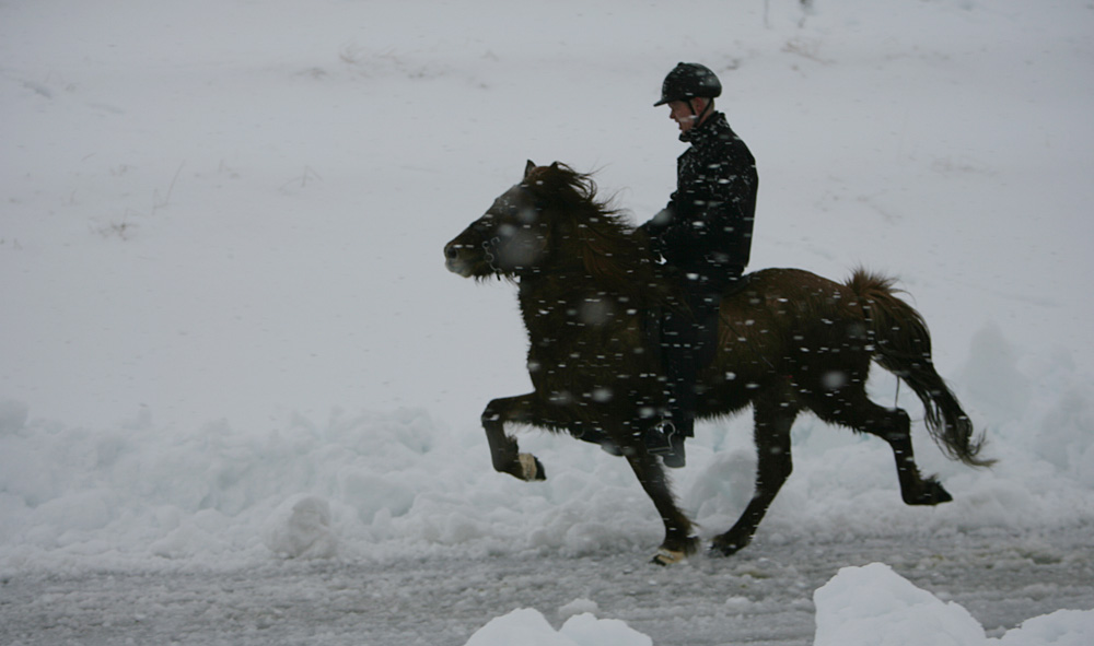 istolt 2014 0198 web