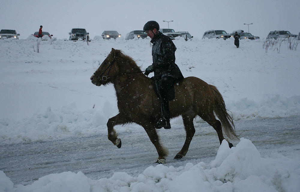 istolt 2014 0255 web