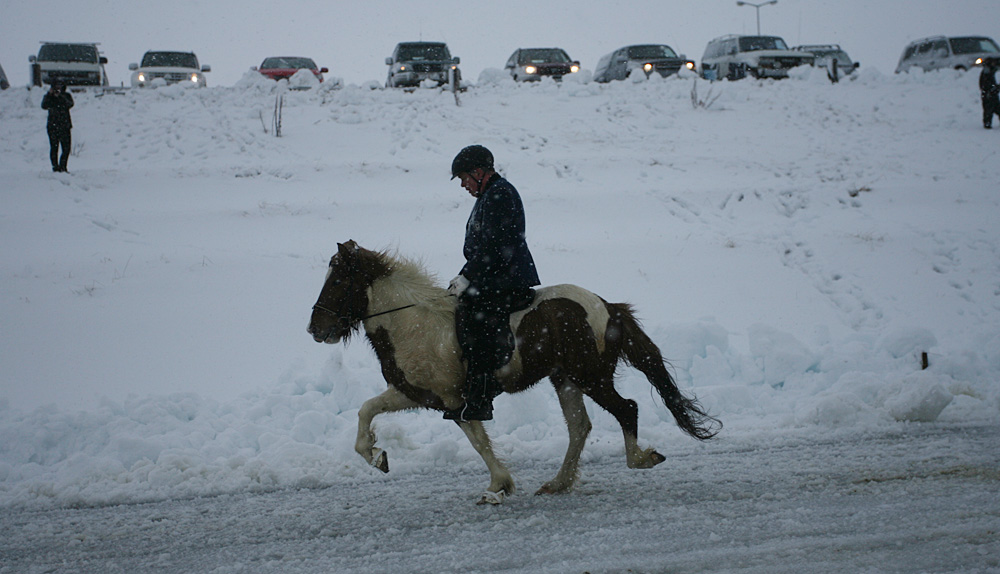 istolt 2014 0293 web