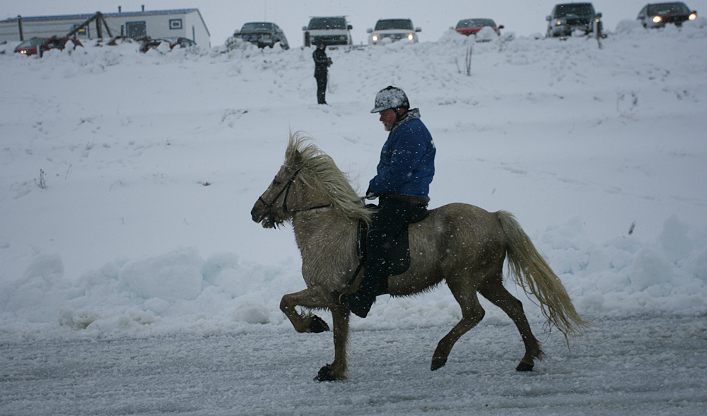 istolt 2014 0298 web