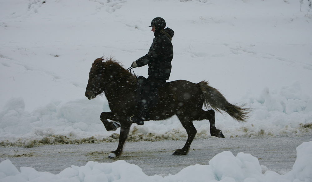 istolt 2014 0318 web