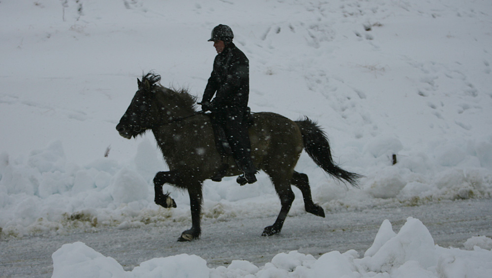 istolt 2014 0327 web