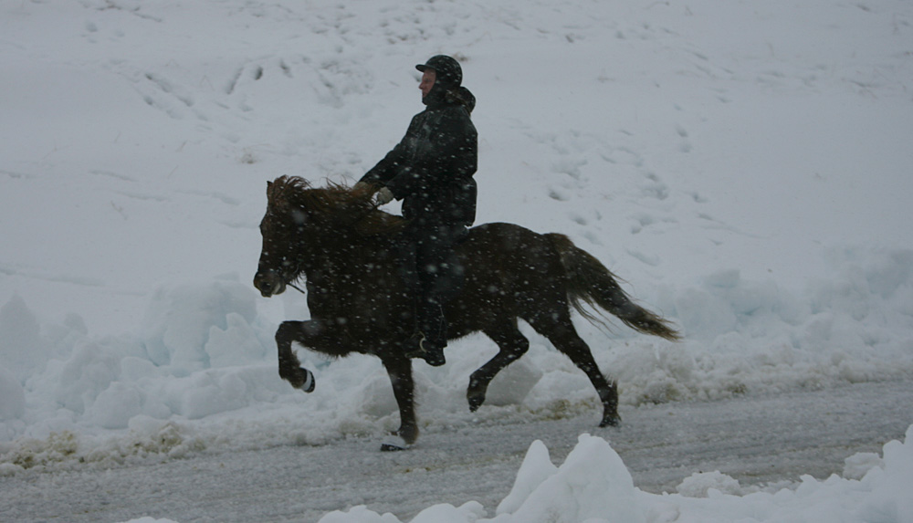 istolt 2014 0338 web