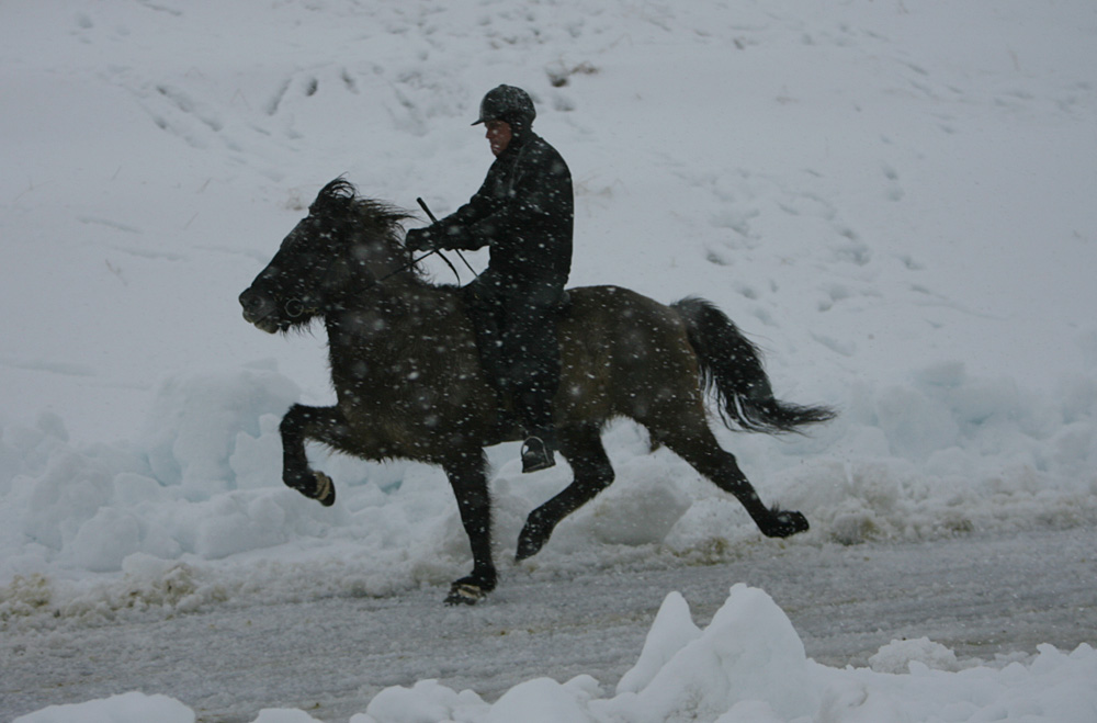 istolt 2014 0347 web