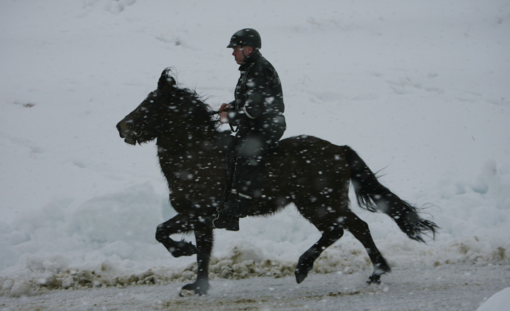 istolt 2014 0361 web