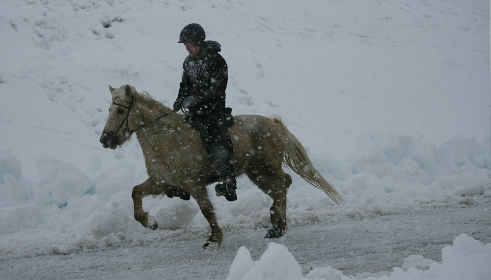 istolt 2014 0368 web