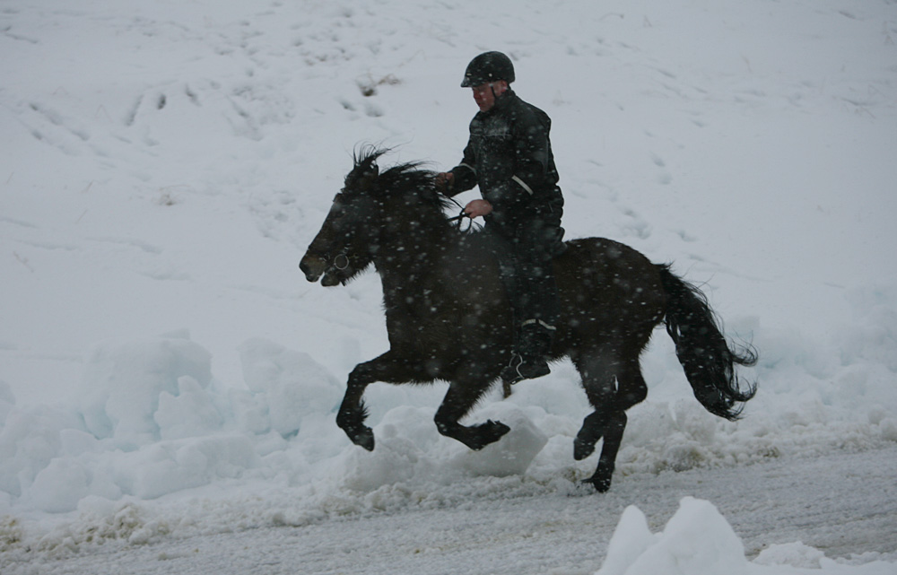 istolt 2014 0385 web