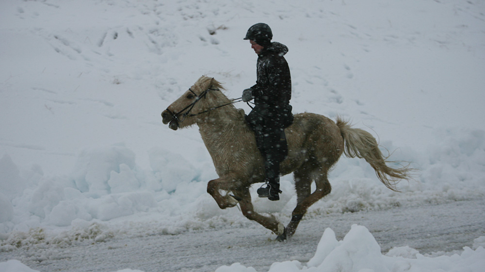 istolt 2014 0396 web