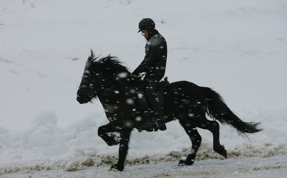 istolt 2014 0417 web