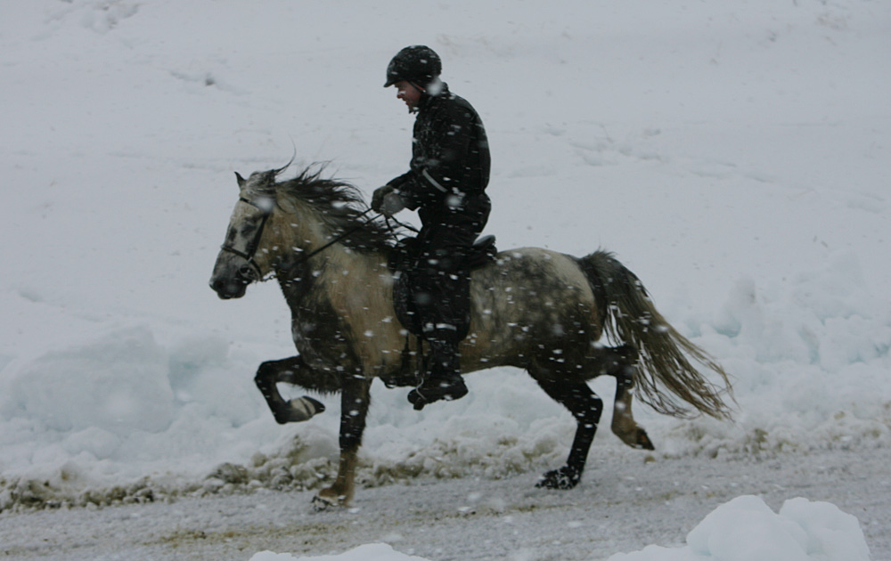 istolt 2014 0430 web