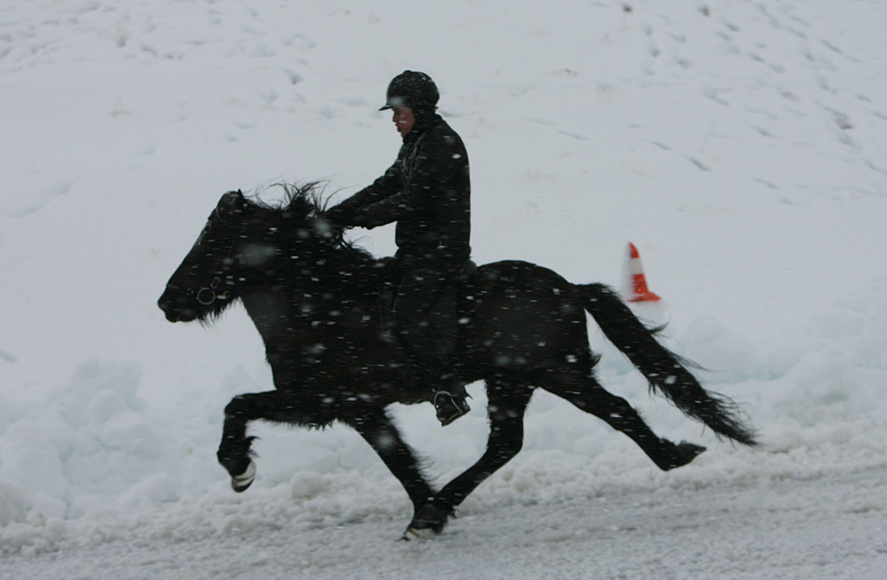 istolt 2014 0442 web