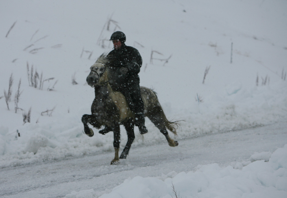 istolt 2014 0449 web