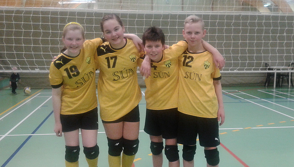 krakkablak nesk2 web