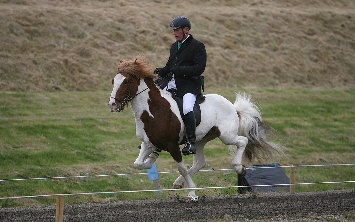 hestamannamot d1 0106 web