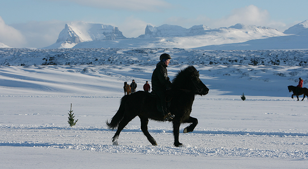 istolt austurland 0015 web