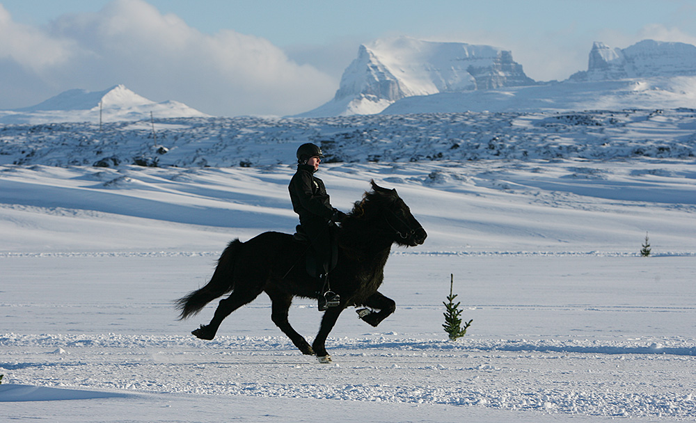 istolt austurland 0019 web