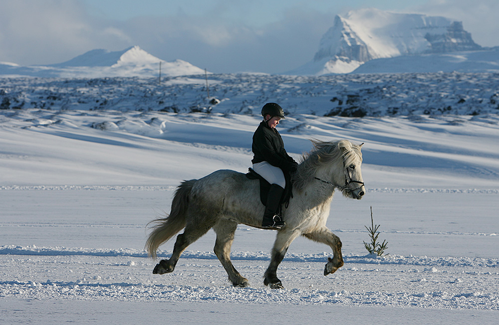 istolt austurland 0046 web