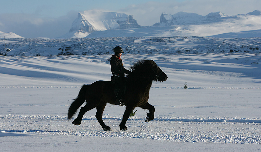 istolt austurland 0050 web