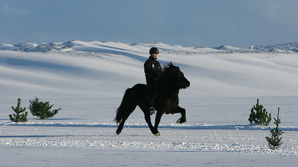 istolt austurland 0058 web