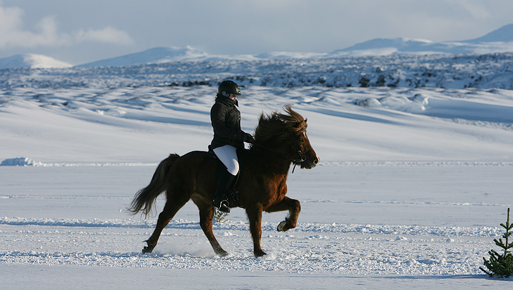 istolt austurland 0077 web