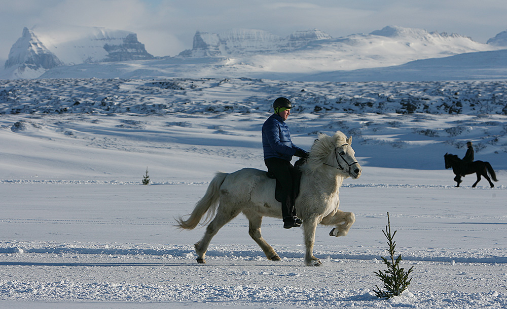 istolt austurland 0094 web