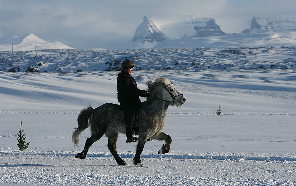 istolt austurland 0096 web