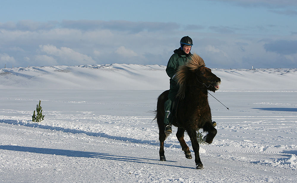 istolt austurland 0125 web