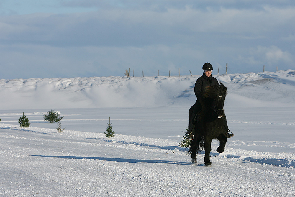 istolt austurland 0141 web