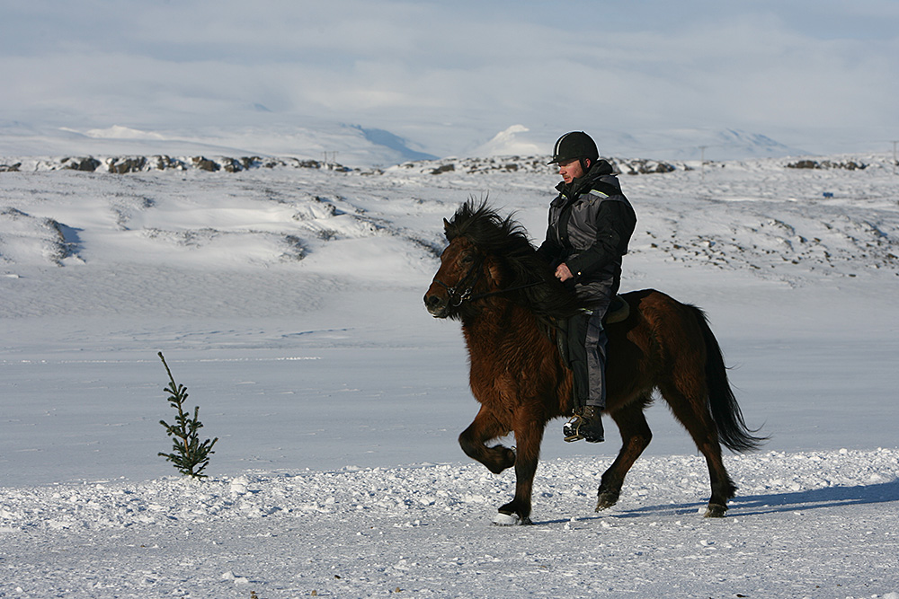 istolt austurland 0149 web