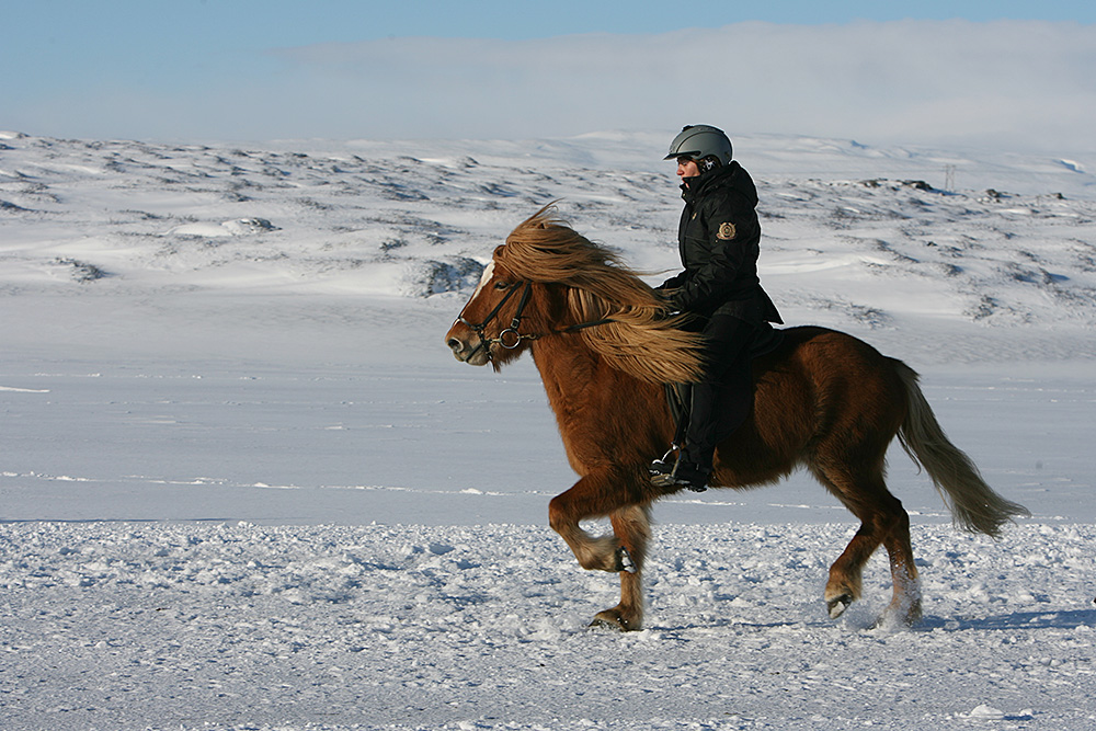 istolt austurland 0167 web