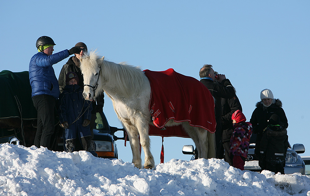 istolt austurland 0172 web