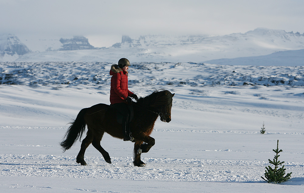 istolt austurland 0191 web