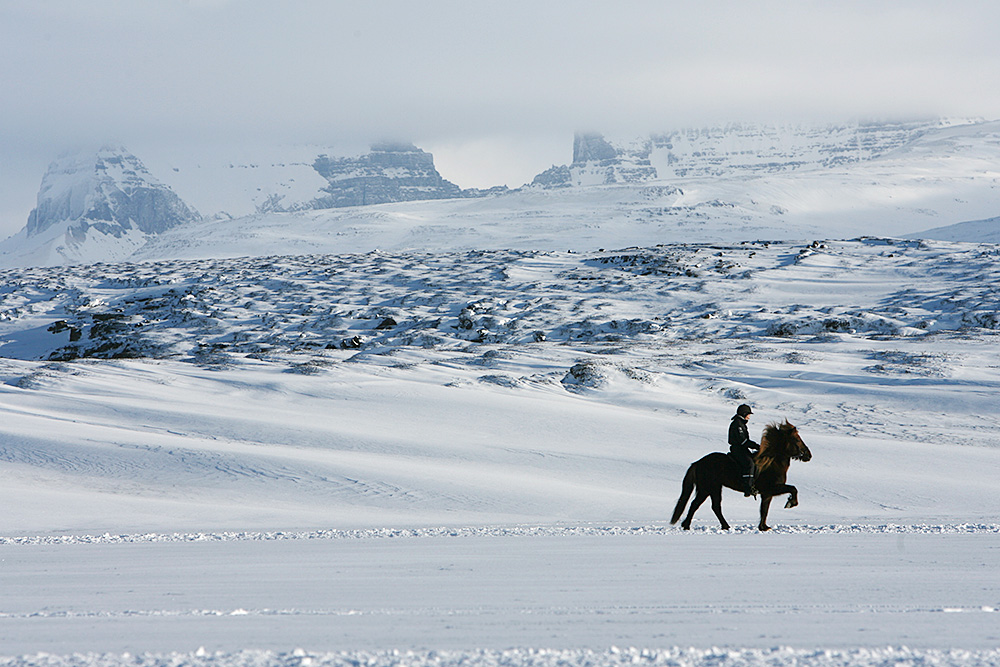 istolt austurland 0197 web
