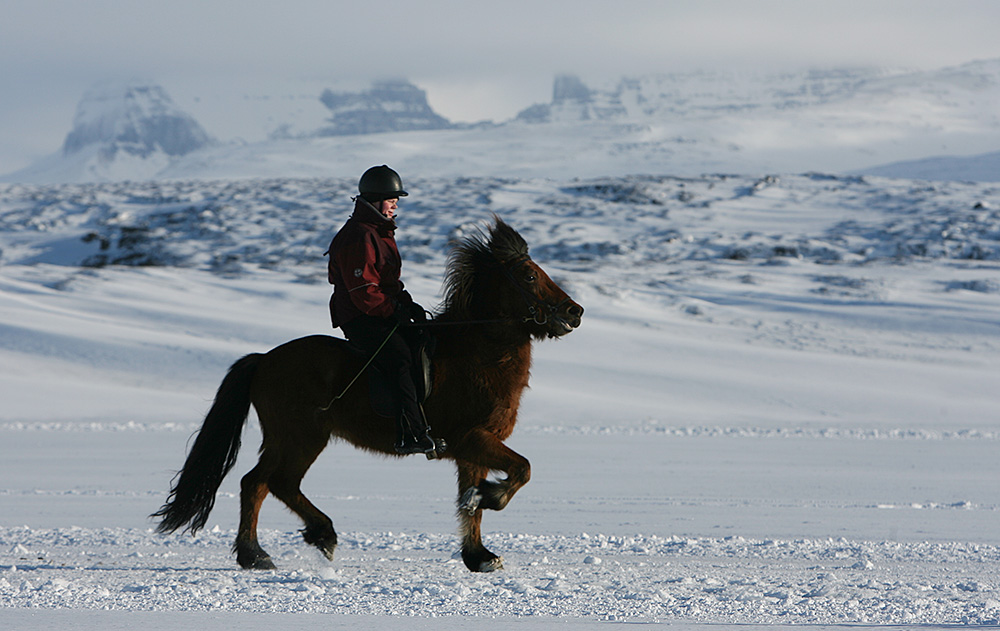 istolt austurland 0206 web